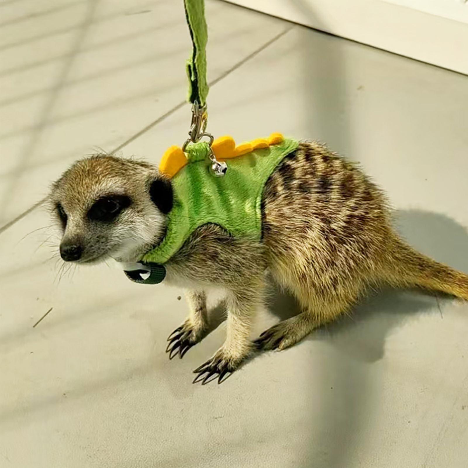 Adjustable Small Pets Harness  - Outdoor Adventure Walks 评论和价格