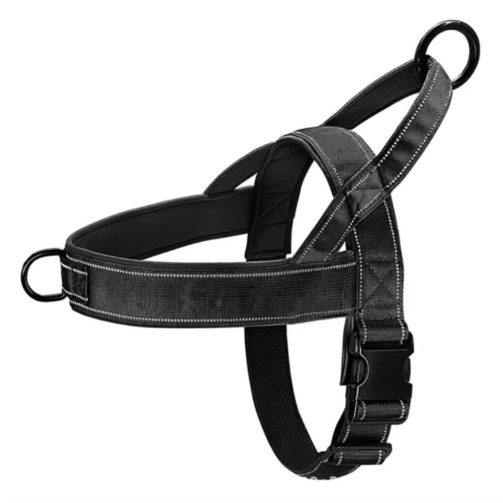 Quick Release Buckle No Pull H - Outdoor Adventure Walks 评论和价格