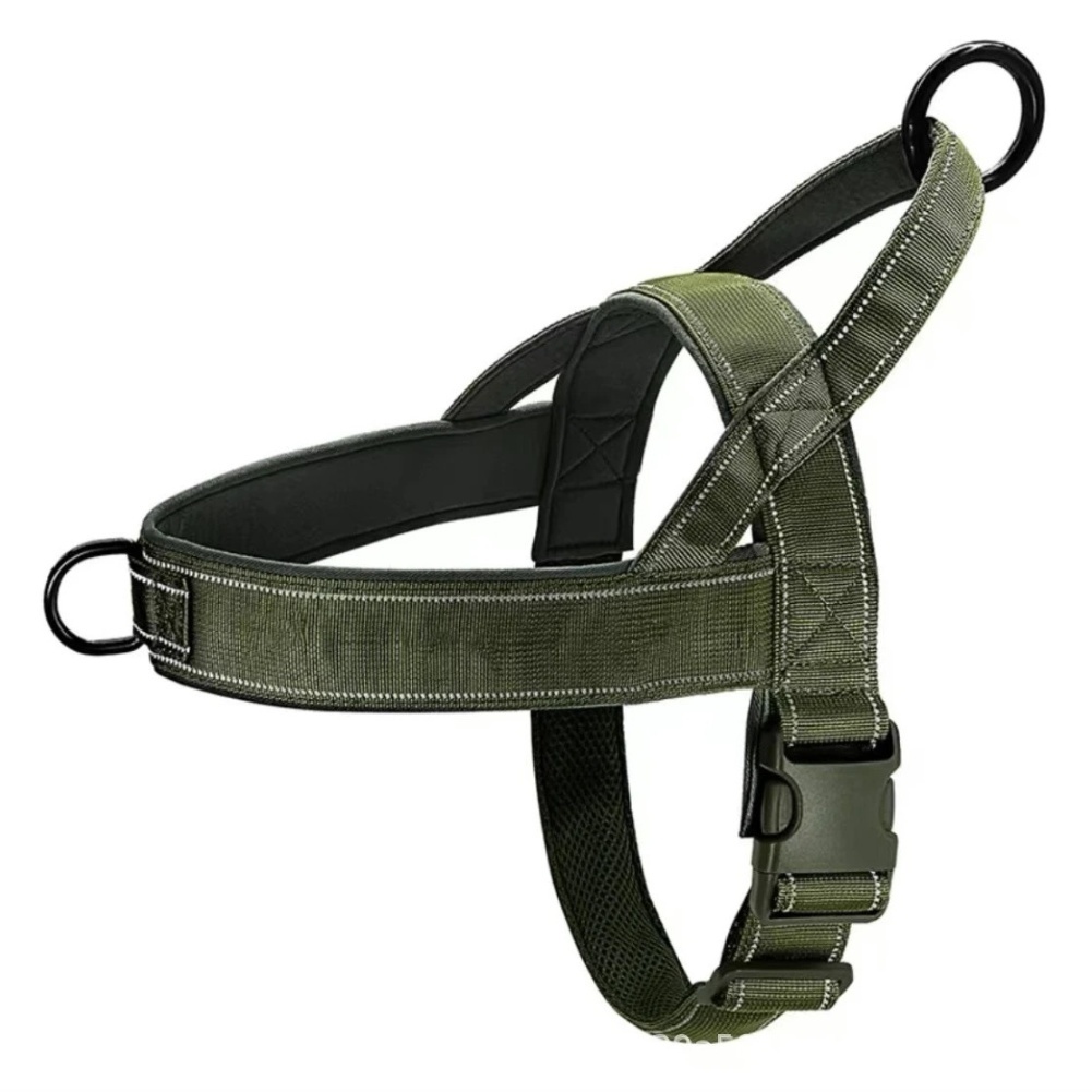 Quick Release Buckle No Pull H - Outdoor Adventure Walks 评论和价格