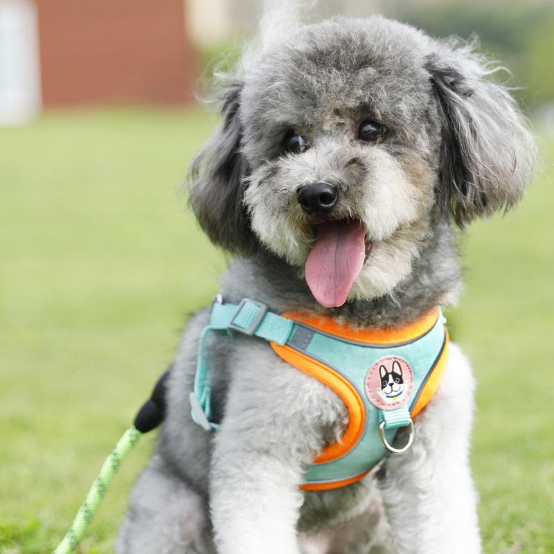 Lightweight Adjustable Dog Har - Outdoor Adventure Walks 评论和价格