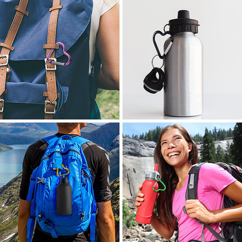 6PCS Carabiner Packs – 5-8cm D - Carabiner Locking D 评论和价格